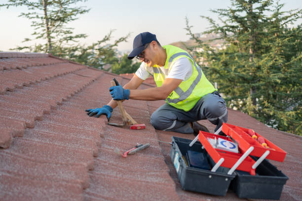 Best Roof Gutter Cleaning  in Glens Falls, NY